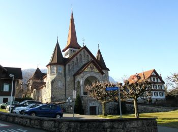 Tour Zu Fuß Arth - Parkplatz A4 - Ochsenchneu - Photo