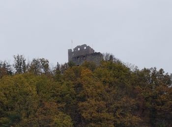Percorso Marcia Waldkirch - Waldkirch - grande boucle des ruines du Schwanzenberg - Photo
