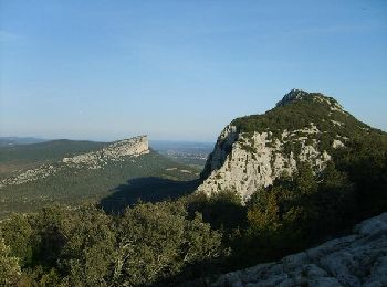 Tocht Stappen Cazevieille - Le Pic Saint Loup - Photo