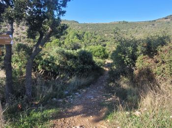 Tocht Stappen Saint-Saturnin-de-Lucian - st saturnin roc des vierges  - Photo