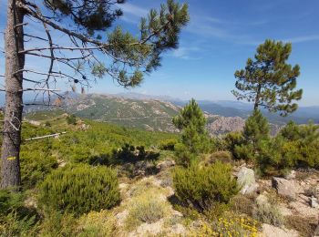 Excursión Senderismo Moca-Croce - Monte San Petru - Photo