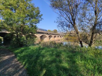 Trail Walking Neuves-Maisons - Audax Neuves Maisons  - Photo