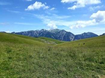 Trail On foot Bosco Chiesanuova - Le antiche terre dei Cimbri - Photo