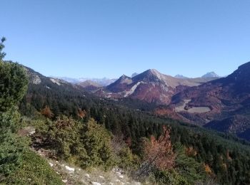 Randonnée Marche Châtillon-en-Diois - Rocher de combeau - Photo