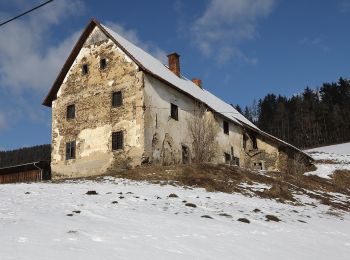 Tocht Te voet Semriach - Wanderweg 19a - Photo