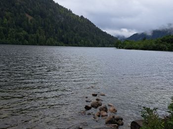 Trail Walking Xonrupt-Longemer - Tour des lacs de Longemer et Retournemer et cascades - Photo