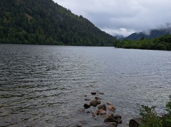 Tour Wandern Xonrupt-Longemer - Tour des lacs de Longemer et Retournemer et cascades - Photo