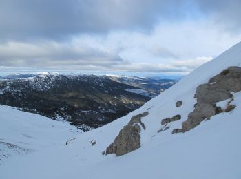 Tocht Ski randonnée Soleilhas - Crête de la Bernarde à Ski - Photo