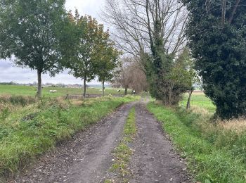 Tocht Stappen Doornik - Lamain 15 km - Photo