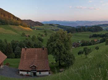 Randonnée A pied Wald (ZH) - Wald - Scheidegg - Photo
