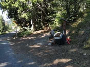 Percorso Camminata nordica Ayent - les deux bisses  - Photo