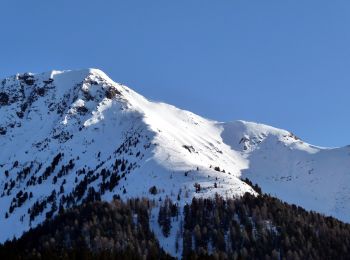 Randonnée A pied Aldein - Aldino - (SI C13N) Redagno di Sopra - Passo Lavaze - Photo