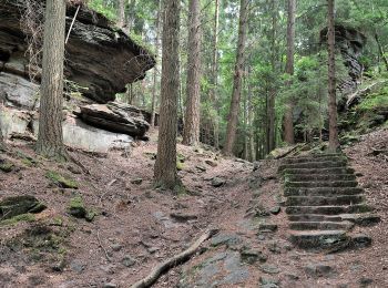 Randonnée A pied Reisdorf - Mullerthal Trail Extra Tour B - Photo