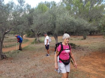 Trail Walking Sillans-la-Cascade - Sillans(Maurice) - Photo