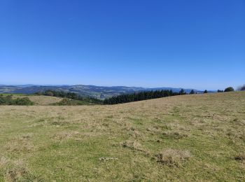 Tour Wandern Violay - Randonnée de Violay  - Photo