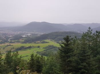 Randonnée Marche Saint-Dié-des-Vosges - Balade autour du Col de la Crenée - Photo