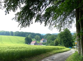 Trail On foot  - Burg Rundweg A3 - Photo