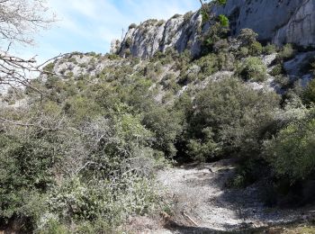 Trail Walking La Roque-sur-Pernes - La Roque sur Pernes - Photo