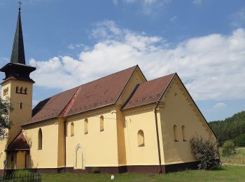 Tour Zu Fuß Zabar - Z+ - Photo