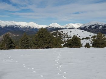 Trail Walking La Mure-Argens - La mure montagne de  maurel 950m 14kms - Photo