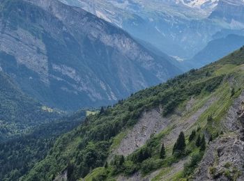 Trail Walking Verchaix - Col de Joux plane haute Savoie 9 juillet 2022  - Photo