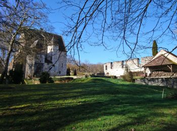 Trail Walking Cheillé - Cheillé - GR3 Abbaye de Turpenay Château de la Cour - 18.9km 280m 4h05 - 2022 02 05 - Photo