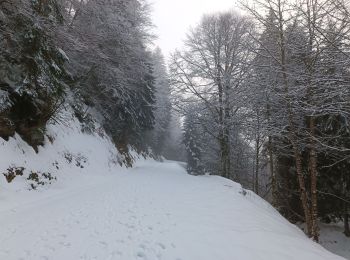 Trail Walking Proveysieux - Proveyzieux- Col de la Charmette - Photo