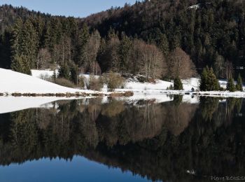 Tocht Stappen Oyonnax - lac Genin et retour - Photo