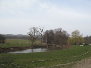 Randonnée A pied Tatabánya - K■ (Koldusszállás - Irtás-hegyi-nyereg - Tatabánya (Alsógalla)) - Photo