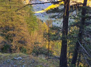 Trail Walking Arvieux - arvieux en boucle par furfande ( col et chalets) - Photo