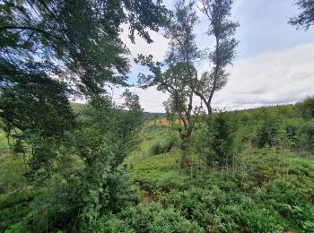 Tour Wandern Monschau - rando kalterherberg-rocher bieley 11/08/2021 - Photo