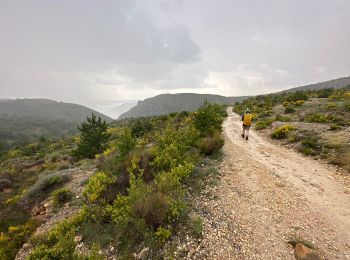 Trail Walking Moustiers-Sainte-Marie - Moustier route romaine 11,5 Km - Photo
