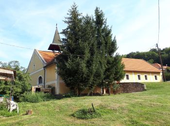 Percorso A piedi Eplény - KT (Eplény, Ámos-hegyi Pihenőerdő) - Photo