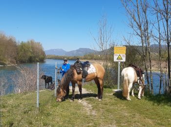 Percorso Equitazione Aoste - st didier st genix champagneux breigner  - Photo