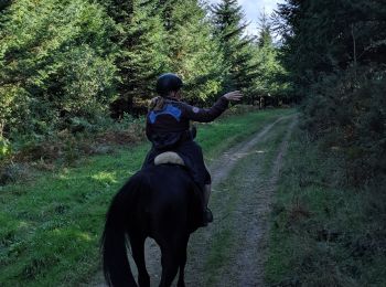 Trail Horseback riding Arfons - cheval alex - Photo