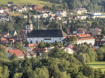 Tocht Te voet Bad Soden-Salmünster - Bad Soden-Salmünster Wanderweg Nr. 25 - Photo