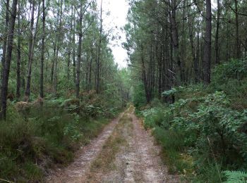 Tour Mountainbike Rion-des-Landes - 8999080-Vtt Piste_12-AOU-18  - Photo