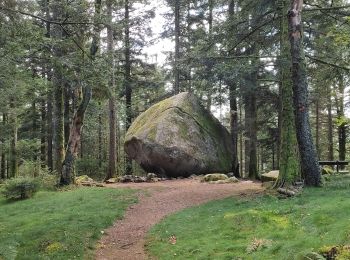 Tocht Stappen Le Tholy - Le trou de l'enfer - Photo