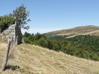 Percorso A piedi Job - La Vallee du Fossat - Les Rocher de la Pause - Photo