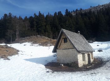 Tocht Sneeuwschoenen Corrençon-en-Vercors - Cabane à Goupette en circuit - Photo
