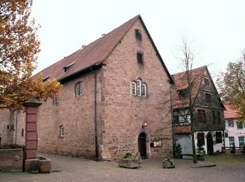 Tour Zu Fuß Steinau an der Straße - Steinau a.d. Straße - Wartenweg 1 - Photo