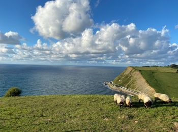 Trail Walking Getaria - Zumaia - Photo