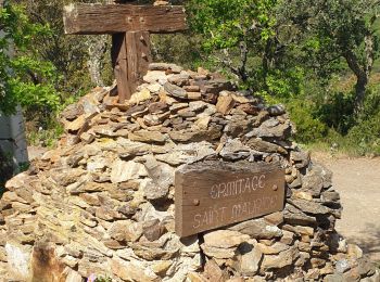 Trail Walking Saint-Michel-de-Llotes - st Michel de Llotes + dolmens - Photo