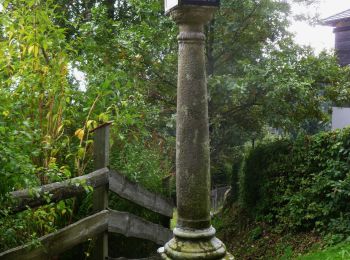 Tour Zu Fuß Haibach im Mühlkreis - Wanderweg 82 - Photo