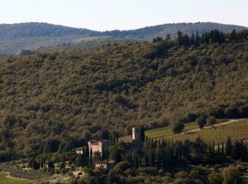 Excursión A pie Gaiole in Chianti - Trekking tra i castelli 4 - Photo