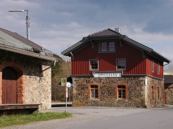 Tour Zu Fuß Spiegelau - RW Steinklamm - Photo