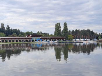 Tour Wandern Bellerive-sur-Allier - Tour du lac d'Allier - Photo