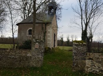 Randonnée Marche Rochefort-sur-Loire - Rochefort par la vallée  - Photo