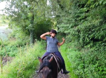 Trail Horseback riding Grâce-Hollogne - aurelie  - Photo
