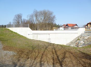 Tocht Te voet Mettersdorf am Saßbach - Sarossa Krenweg - Photo